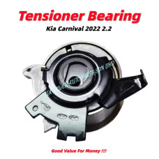 Tensioner Bearing